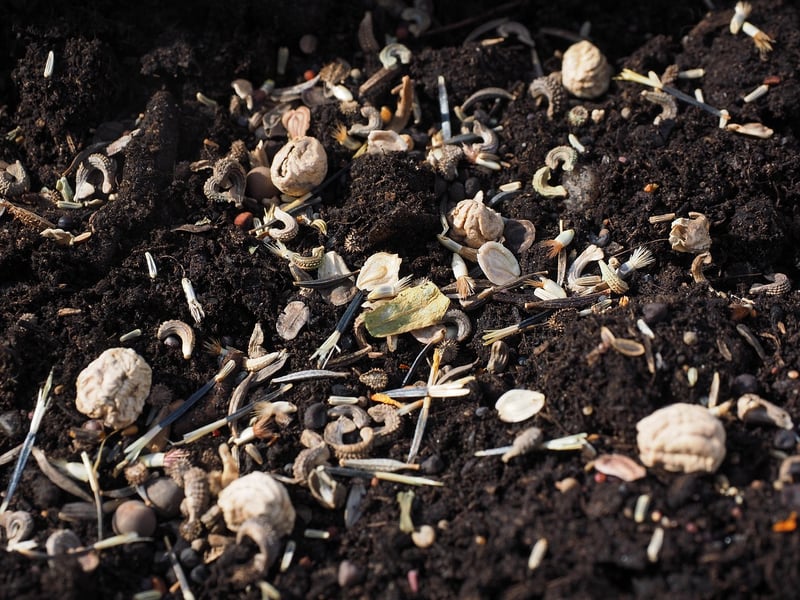 Soil Mix